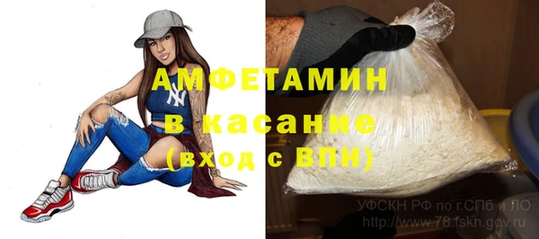 дмт Гусев