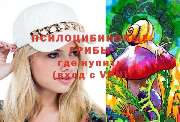 дмт Алзамай