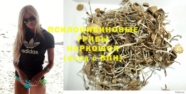 прущие грибы Алексин
