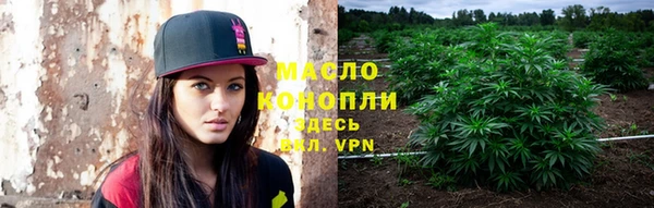 дмт Алзамай